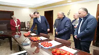 صور- نجاح استنباط 8 أصناف جديدة من تقاوي الطماطم