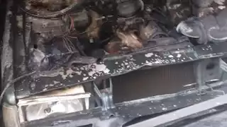 احتراق سيارة ملاكي أثناء توقفها بأحد الشوارع في الغربية 