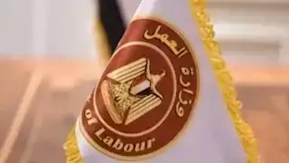 وزارة العمل في أسبوع: "توزيع عقود عمل ولقاءات لدعم التدريب -(فيديوجراف)