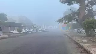 تحذير من الشبورة وظهور السحب.. الأرصاد تعلن أبرز الظواهر الجوية المسيطرة