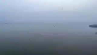  خوفًا على المواطنين.. إغلاق طريق الإسكندرية الصحراوي بسبب الشبورة المائية