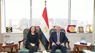 "التضامن والعمل" تنهيان إجراءات صرف التعويضات لضحايا ومصابي حادث أشمون