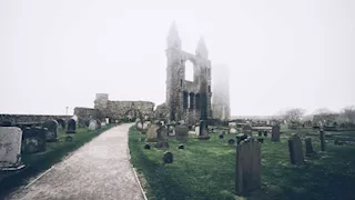 "مقبرة 6 نجوم" تثير الجدل.. تصميم فاخر يضاهي المنتجعات السياحية