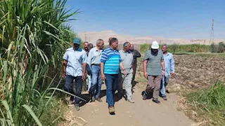 بالصور- وفد وزارة الزراعة يتابع الجهود المبذولة في مكافحة الآفات بالأقصر