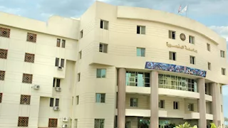 المنصورة تفوز  بالجائزة الذهبية في مسابقة "أفضل جامعة في الأنشطة الطلابية" 