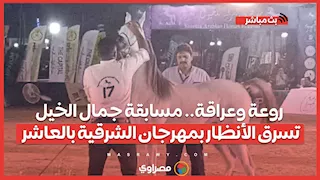 روعة وعراقة.. مسابقة جمال الخيل تسرق الأنظار بمهرجان الشرقية بالعاشر
