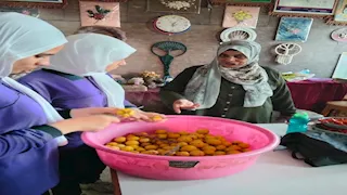  من الفصل إلى العمل.. تعليم "الليمون المعصفر" لطالبات مدرسة في كفر الشيخ- صور