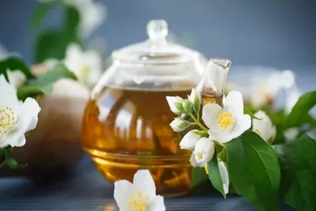 5 فوائد طبية لزهرة الياسمين- تعرف عليها
