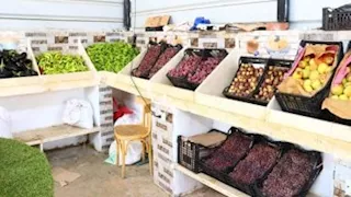 ‬الوادي الجديد تتوسع في منافذ بيع السلع بأسعار مخفضة