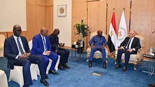 وزير الري: السنغال شريك رئيسي لمصر في مجال المياه