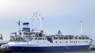 وصول شحنة عجول حية من جيبوتي إلى ميناء سفاجا 