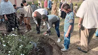 بالصور- طلاب بني سويف يزرعون 8 آلاف شتلة ضمن مبادرة "ازرع شتلتك"