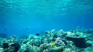 اكتشافات مذهلة.. 8 أشياء غريبة عثر عليها في أعماق المحيط