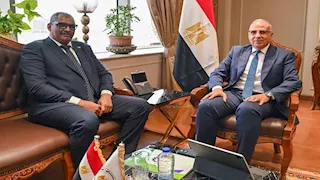 وزير الري السوداني: حققنا فوائض إنتاج غذاء كبيرة خلال الموسم الصيفي