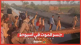 جسر المـ،ـوت في أسيوط.. تلاميذ يعبرون الترعة فوق جذع نخيل