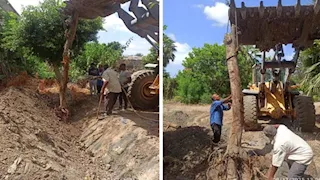 أول تعليق من محافظة الإسكندرية على قطع أشجار أبو قير -صور