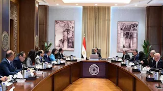 الحكومة توافق على فض منازعات الاستثمار وتنفيذ تغذية كهربائية بديلة لمحطات الري