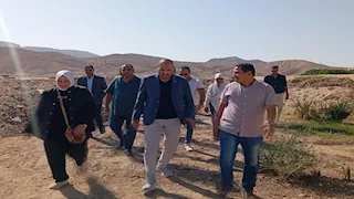 لمواجهة انتشارها.. قنا تبدأ إجراءات إنشاء مأوى للكلاب الضالة (صور)