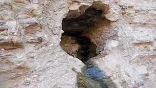 طيور نادرة ومياه للاستشفاء.. جوهرة طبيعية منسية في "بئر العين" بسوهاج (صور)