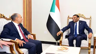 وزير الخارجية يؤكد دعم مصر لسيادة ووحدة السودان