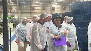 وفد جنوب أفريقي يتفقد منظومة صادرات الرمان المصرية