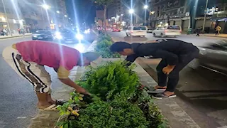 مسك الليل والجهنمية.. 10 صور لزراعة طريق الحرية بالإسكندرية بعد إثارته الجدل