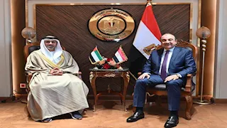 سفير الإمارات يبحث مع وزير قطاع الأعمال المصري تعزيز التعاون الاقتصادي