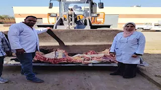 بالصور- بيطري الأقصر يعدم عجلًا يزن نصف طن بمجزر الحبيل