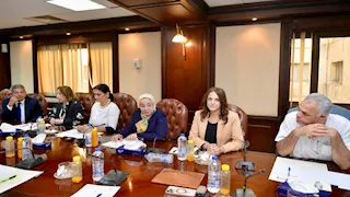 إيناس جوهر رئيسًا لـ "إعلام الخدمة العامة" بـ "لجنة تطوير الإعلام المصري"