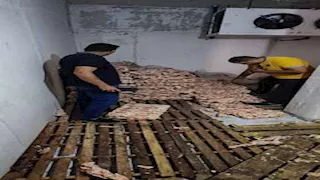 ضبط 5 أطنان لحوم ودواجن فاسدة بمخزن في كفر الشيخ (صور)