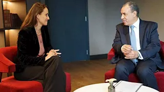 وزير الخارجية يعلن موعد مؤتمر القاهرة الدولي للتعافي المبكر وإعادة إعمار غزة