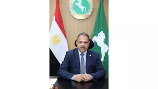 محافظ الشرقية يعلن مد مهلة التصالح في مخالفات البناء حتى مايو 2026