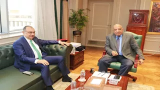 وزيرا الكهرباء وقطاع الأعمال يبحثان التعاون في مجالات كفاءة الطاقة