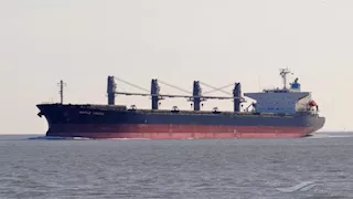 نشاط ملحوظ.. تداول 66 ألف طن بضائع بموانئ البحر الأحمر خلال اليوم