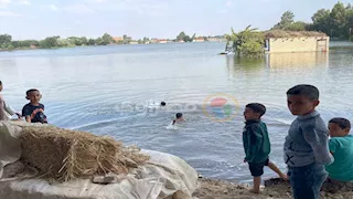 فيضان النيل يغمر أراضي طرح النهر بالمنوفية (فيديو وصور)