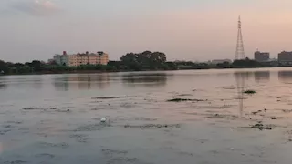 القليوبية تطمئن الأهالي بشأن فيضان النيل: الموقف تحت السيطرة -فيديو وصور