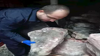 ضبط 38 طن لحوم وأحشاء غير صالحة للاستهلاك الآدمي بشبرا الخيمة - صور