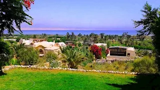 قرية تونس.. رحلة ساحرة بين الحرف اليدوية وجمال الطبيعة بالفيوم (صور)