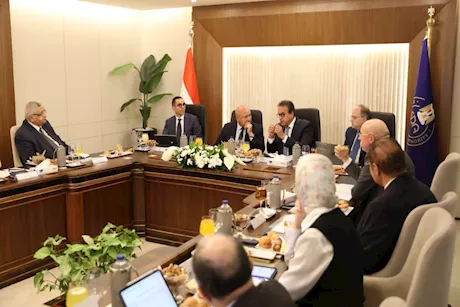 خطة حكومية لتعزيز تنافسية الدواء المصري وتوسيع الإنتاج المحلي
