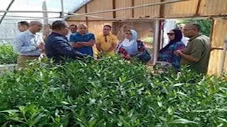 من التحرير إلى التنمية.. كيف تحولت صحراء سيناء لسلة غذاء؟