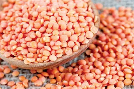 انخفاض أسعار العدس والجبن الأبيض وارتفاع الأرز بالأسواق اليوم (موقع رسمي)