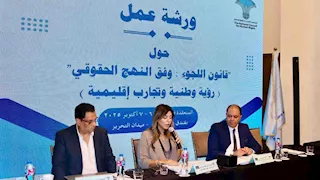 لليوم الثاني.. "قومي حقوق الإنسان" يستكمل مناقشة قانون اللجوء في مصر