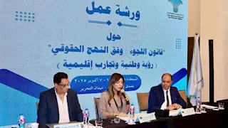 عضو "قومي حقوق الإنسان": قانون اللجوء يحتاج آليات تنفيذ واضحة 