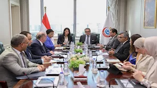 وزيرا الصحة والتخطيط يناقشان حجم الإنفاق على المشروعات والبرامج الصحية