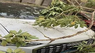 6 صور من تحطم سيارة نجم الزمالك الأسبق في الشارع