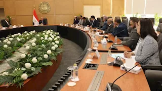 مصر تبحث تعظيم الاستفادة من 17 عنصرًا أرضيًا نادرًا بدلًا من تصديرها خامًا