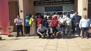 وفود منتدى الأرز الأفريقي تتفقد محطة سخا لمتابعة تقنيات زراعة الأرز