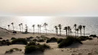 العريش.. "بوابة مصر الشرقية" التي قد تلعب دورًا في مستقبل غزة