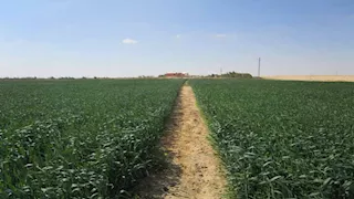 "إيجيبت كلاي".. مشروع مصري يعيد للتربة الرملية أنفاسها (صور)