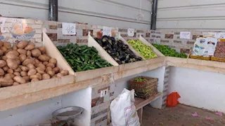 الطماطم بـ20 جنيهًا.. مبادرة لخفض الأسعار بمنافذ الوادي الجديد (صور)